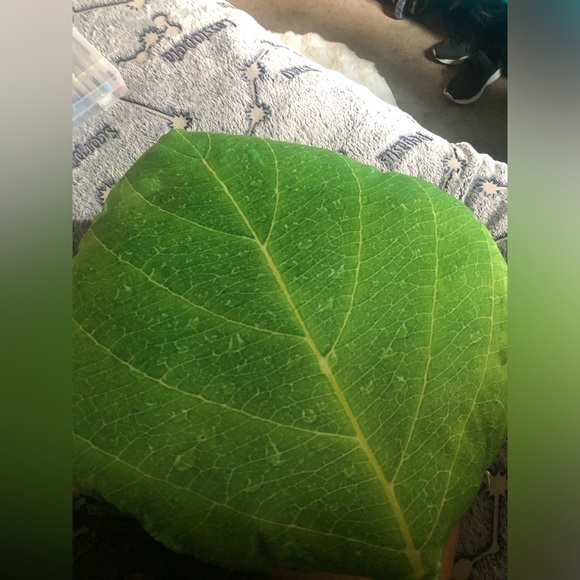 Realistic brand new leaf pillow 🍃 - Picture 4 of 5
